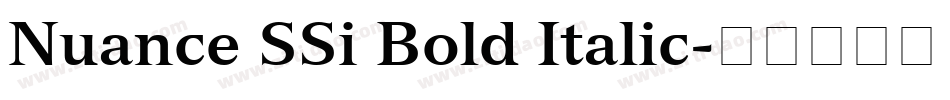 Nuance SSi Bold Italic字体转换